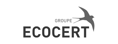 Logo de Castorama, cliente de Théo Belnou, videógrafo freelance en España