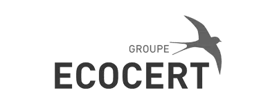 Logo de Castorama, cliente de Théo Belnou, videógrafo freelance en España